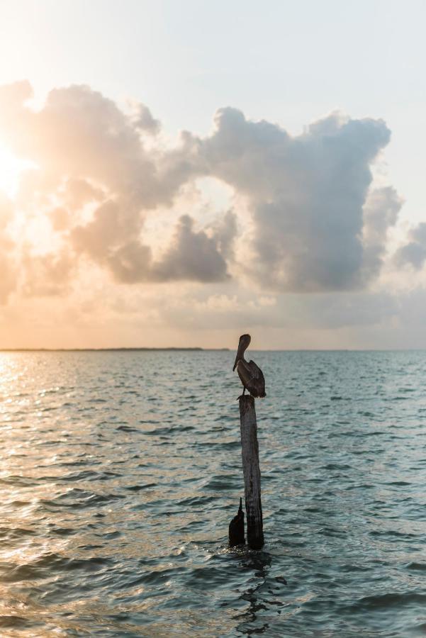 Slickrock Belize Adventures Glovers Reef Eksteriør bilde
